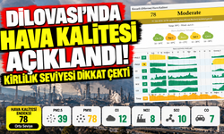Dilovası'nda hava kalitesi açıklandı! Kirlilik seviyesi dikkat çekti