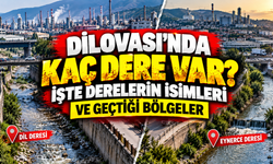 Dilovası'nda kaç dere var? İşte ilçenin dereleri ve geçtiği bölgeler
