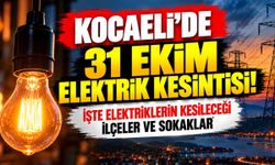 Kocaeli'de 31 Ekim Cumartesi elektrik kesintisi! İşte ilçe ilçe, mahalle mahalle kesinti listesi