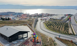 Dilovası'nda hangi tarım ürünleri yetişiyor? İşte ilçenin tarımsal üretimi