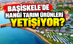 Başiskele'de hangi tarım ürünleri yetişiyor? İşte ilçenin öne çıkan ürünleri!
