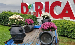 Darıca'da park ve bahçeler çiçeklerle donatılıyor! Şehitliklere özel bakım