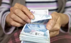 Vatandaşlık maaşı için geri sayım başladı: Uzman isim başvuru şartlarını açıkladı