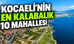 Kocaeli'nin en kalabalık 10 mahallesi belli oldu! Zirvedeki mahallede 45 bin kişi yaşıyor