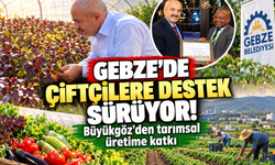 Gebze'de çiftçilere destek sürüyor! Büyükgöz'den tarımsal üretime katkı