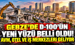 Gebze'de D 100’ün yeni yüzü belli oldu! AVM, otel ve iş merkezleri geliyor