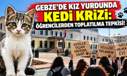 Gebze'de Kız Yurdunda Kedi Krizi: Öğrencilerden Toplatılma Tepkisi!