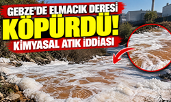 Gebze’de Elmacık Deresi köpürdü: Kimyasal atık iddiası