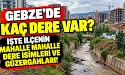 Gebze’de kaç dere var? işte ilçenin mahalle mahalle dere isimleri ve güzergâhları!