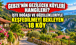 Gebze’nin gezilecek köyleri hangileri? İşte doğası ve güzellikleriyle keşfedilmeyi bekleyen 18 köy