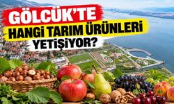 Gölcük'te hangi tarım ürünleri yetişiyor? İşte ilçenin meşhur meyve ve sebzeleri