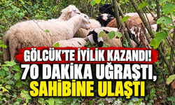 Gölcük’te İyilik Kazandı! 70 Dakika Uğraştı, Sahibine Ulaştı