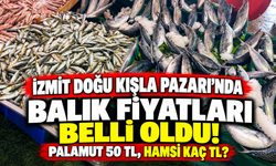 İzmit Doğu Kışla Pazarı’nda balık fiyatları belli oldu! Palamut 50 TL, hamsi kaç TL?