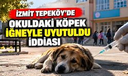 İzmit Tepeköy’de Okuldaki Köpek İğneyle Uyutuldu İddiası