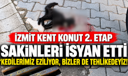 İzmit Kent Konut 2. Etap Sakinleri İsyan Etti: “Kedilerimiz Eziliyor, Bizler de Tehlikedeyiz”