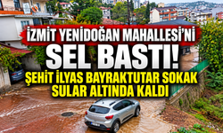 İzmit Yenidoğan Mahallesi'ni sel bastı! Şehit İlyas Bayraktutar Sokak sular altında kaldı