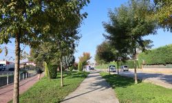 Kartepe’de Kanal Park değişiyor: 1,2 kilometrelik kültür koridoru geliyor