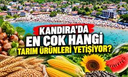 Kandıra'da en çok ne yetişiyor? İşte ilçenin öne çıkan tarım ürünleri
