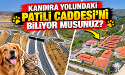 Kandıra Yolundaki Patilik Caddesi’ni Biliyor Musunuz?
