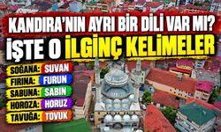 Kandıra’nın ayrı bir dili var mı? İşte o ilginç kelimeler