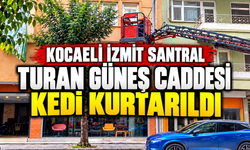 İzmit'te yürekleri ısıtan kurtarma! Santral Mahallesi'nde kedi kurtarıldı