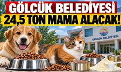Gölcük Belediyesi 24,5 Ton Mama Alacak