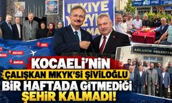 Kocaeli’nin Çalışkan MKYK Üyesi Şiviloğlu: Bir Haftada Gitmediği Şehir Kalmadı