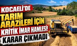 Kocaeli’de Tarım Arazileri İçin Kritik İmar Hamlesi! Karar Çıkmadı