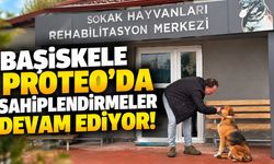 Başiskele Proteo’da Sahiplendirmeler Devam Ediyor
