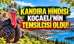 Kandıra Hindisi Kocaeli’nin Temsilcisi Oldu