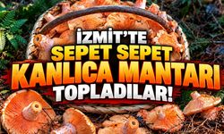 İzmit'te Sepet Sepet Kanlıca Mantarı Topladılar