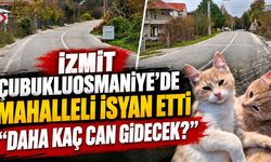 İzmit Çubukluosmaniye'de Mahalleli İsyan Etti: “Daha Kaç Can Gidecek?”