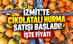 İzmit’te Çikolatalı Hurma Satışı Başladı! İşte Fiyatı