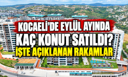Kocaeli'de eylül ayında kaç konut satıldı? İşte açıklanan rakamlar