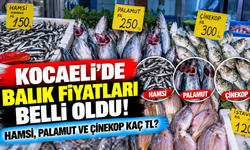 Kocaeli'de balık fiyatları belli oldu! Hamsi, palamut ve çinekop kaç TL?