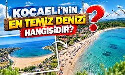 Kocaeli'nin En Temiz Denizi Hangisidir?