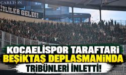 Kocaelispor taraftarı Beşiktaş deplasmanında tribünleri inletti!