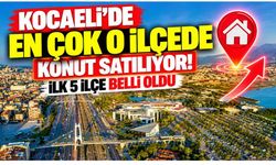 Kocaeli'de En Çok O İlçede Konut Satılıyor! İlk 5 İlçe Belli Oldu