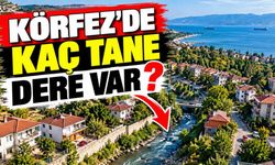 Körfez'de kaç tane dere var? İşte Kocaeli Körfez ilçesindeki derelerin isimleri