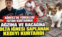 Körfez'de yürekleri ısıtan kurtarma! Ağzına ve bacağına olta iğnesi saplanan kediyi kurtardı