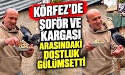 Körfez'de Şoför Ve Kargası Arasındaki Dostluk Gülümsetti