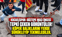 Kocaelispor–Göztepe maçı öncesi tepki çeken görüntüler! Köpek balıklarını yerde sürükleyip tekmelediler