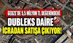 Gebze’de 5,5 milyon TL değerindeki dubleks daire icradan satışa çıkıyor!