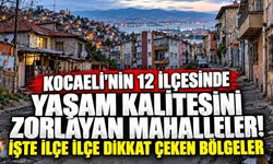 Kocaeli'nin 12 ilçesinde yaşam kalitesini zorlayan mahalleler! İşte ilçe ilçe dikkat çeken bölgeler