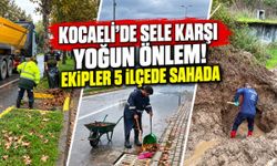 Kocaeli'de sele karşı yoğun önlem! Ekipler 5 ilçede sahada