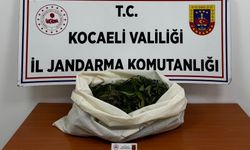 Kocaeli'de 4 İlçede 3 Kilodan Fazla Esrar Ele Geçti