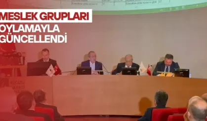 Meslek Grupları Oylamayla Güncellendi