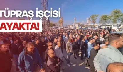 Tüpraş işçisi ayakta!