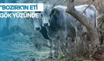 "Bozırkın eti gökyüzünde"