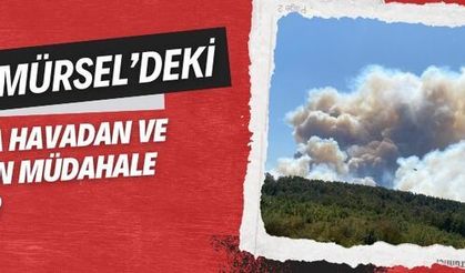 Kocaeli'deki orman yangınına havadan ve karadan müdahale ediliyor